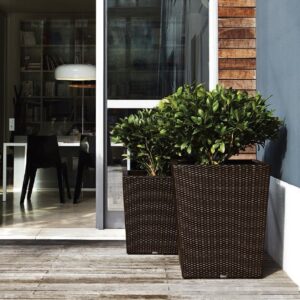 Giada macetero (exterior)